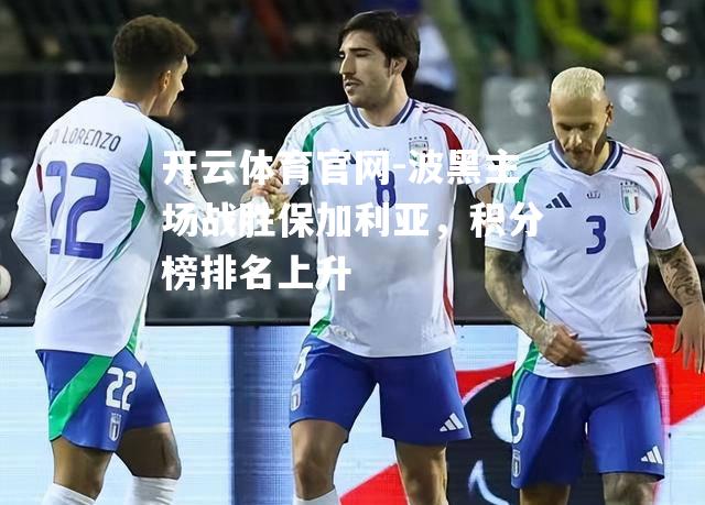 波黑主场战胜保加利亚，积分榜排名上升